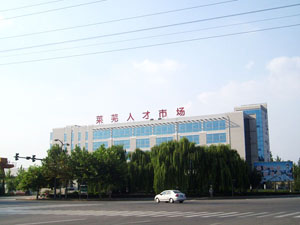 �������˲��г�